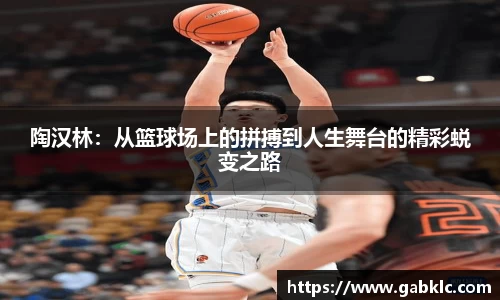 芒果体育官网入口