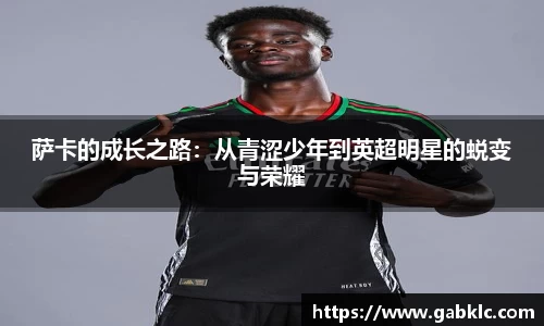 芒果体育官网入口